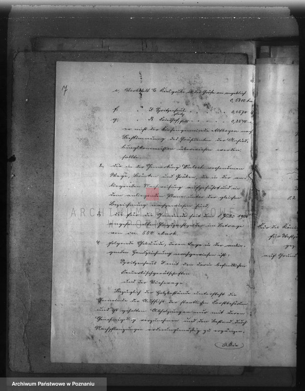 Obraz 11 z jednostki "Las gminy Olszewo powiat ostrowski"