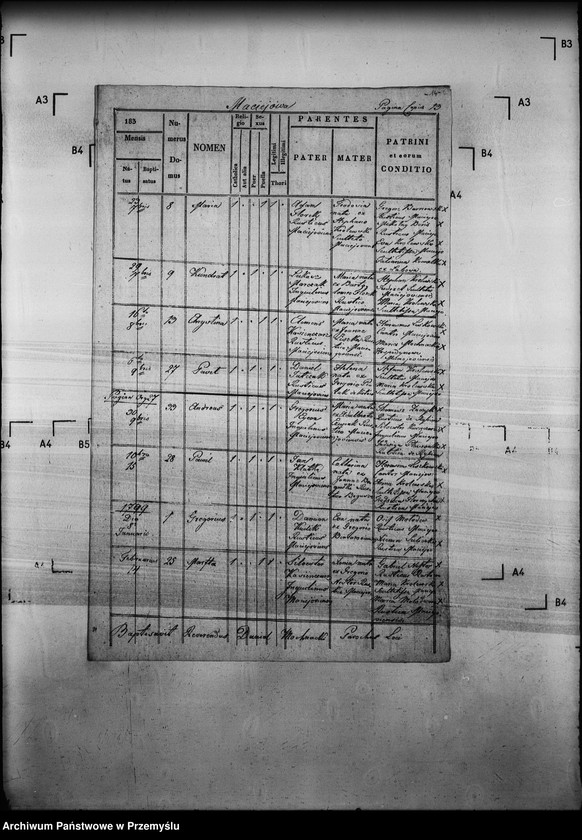 Obraz 18 z jednostki "[Kopie ksiąg metrykalnych parafii Maciejowa z filiami Barnowiec, Czaczów, Margoń, Składziste, Roztoka Mała, Rybień, Złotne (dekanat Muszyna)]"