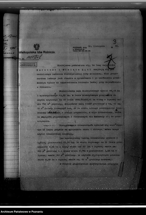 Obraz 7 z jednostki "Majętność leśna Karczewo powiat kościański"