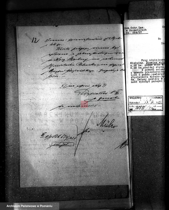 Obraz 17 z jednostki "Majętność leśna Kiełpiny powiat wolsztyński"