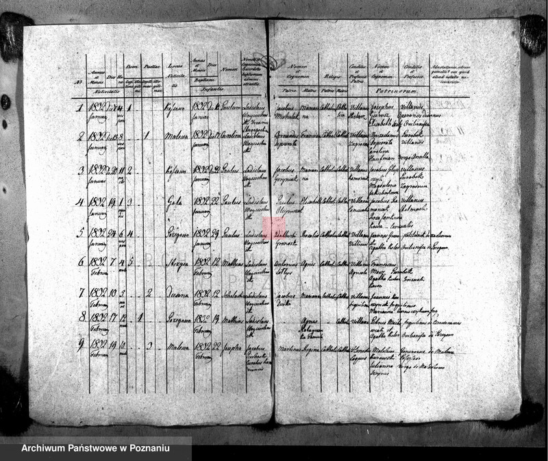 Obraz 2 z jednostki "Liber baptisatorum"