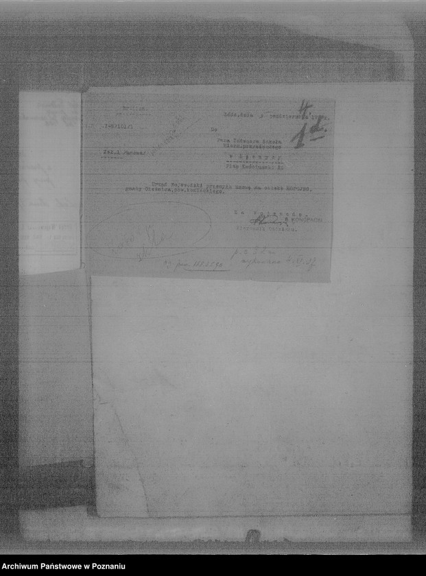 Obraz 8 z jednostki "Parcelacja majątku państwowego Kopojno powiatu konińskiego"