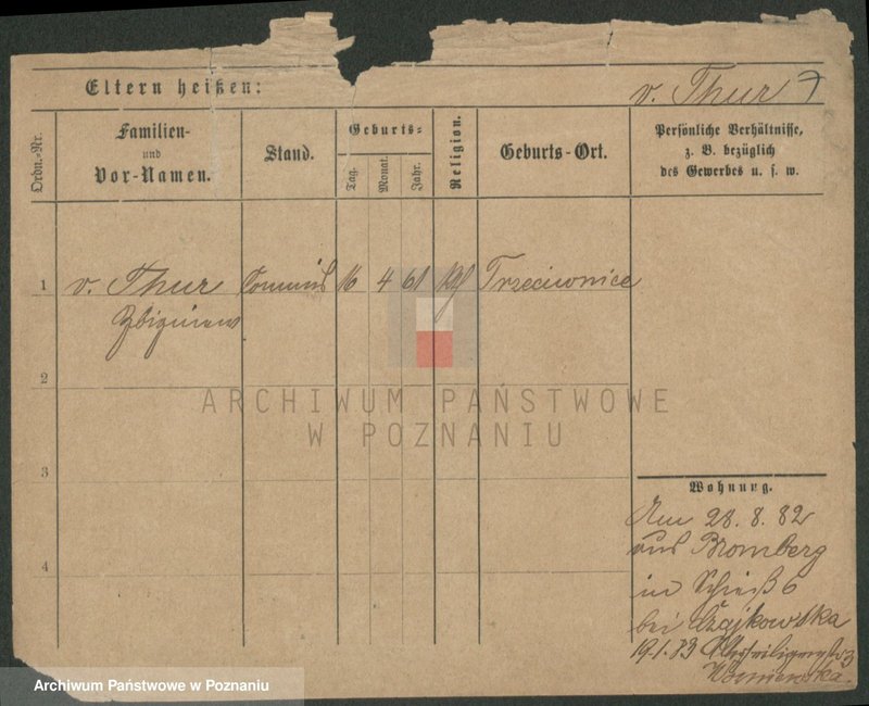 Obraz 17 z jednostki "Tur - Turzyński"