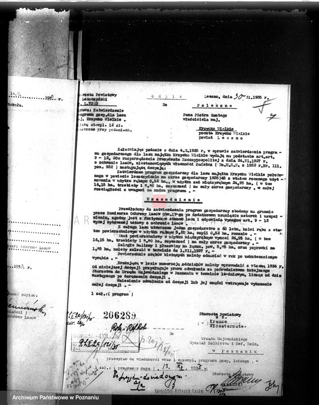 Obraz 11 z jednostki "Las majątku Krzycko Wielkie powiat leszczyński"