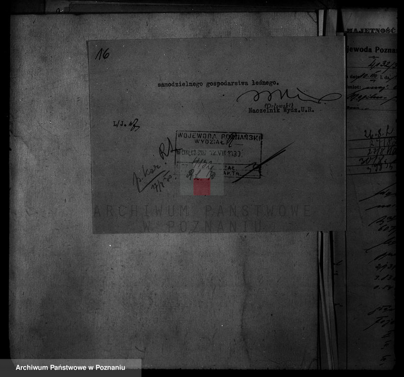 Obraz 20 z jednostki "Majętność /leśna Ossowiec/ powiat mogileński"