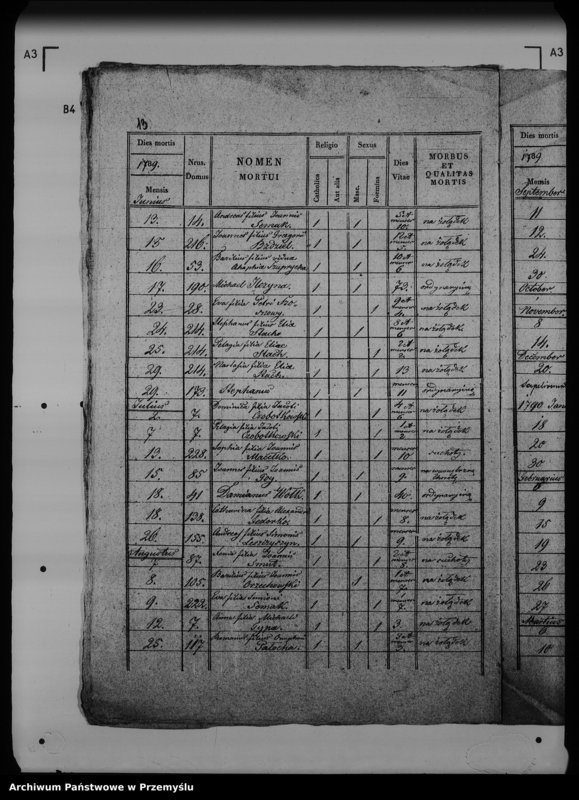 Obraz 18 z jednostki "[Kopie ksiąg metrykalnych parafii Werchrata z filią Prusie (dekanat Rawa Ruska)]"