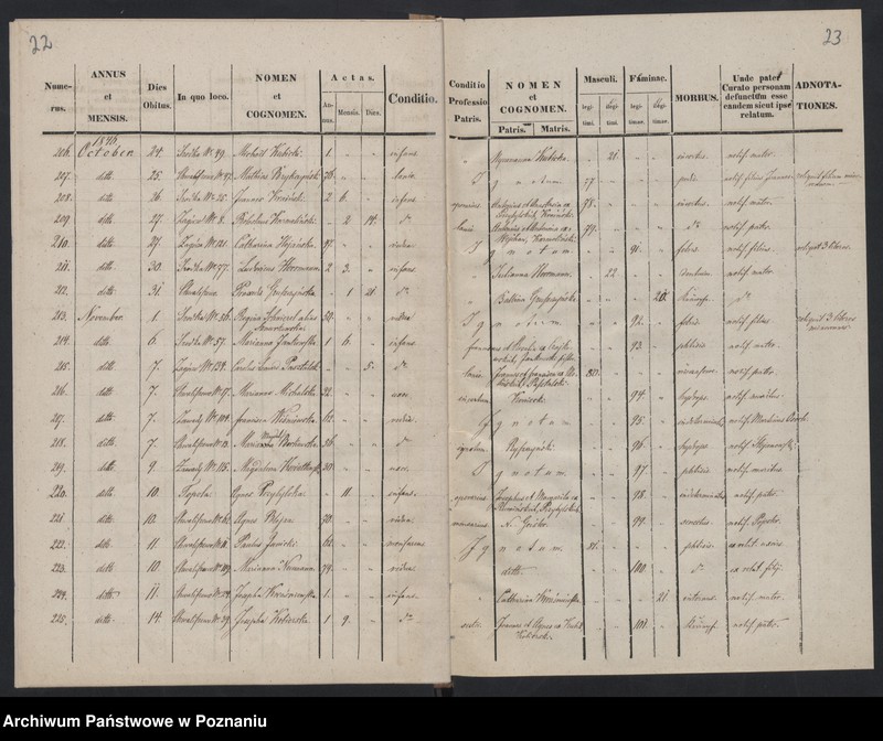 Obraz 14 z jednostki "Księga zgonów"