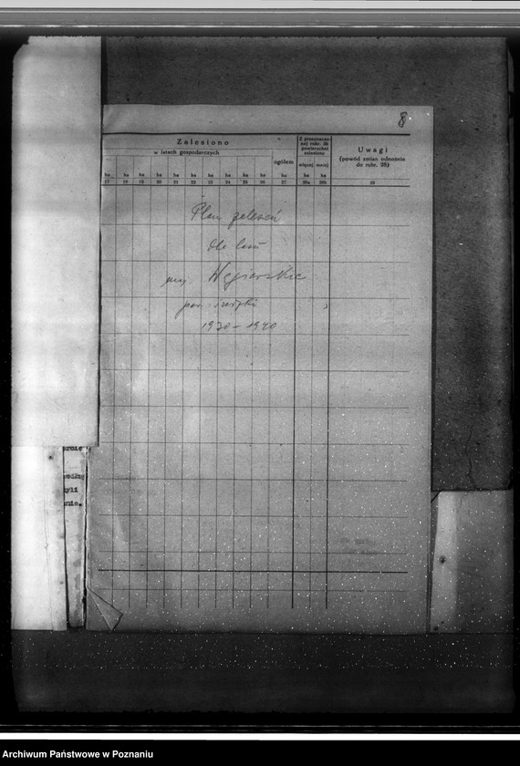 Obraz 12 z jednostki "Majętność leśna Węgierskie powiat średzki [opis lasu i plan cięć]"