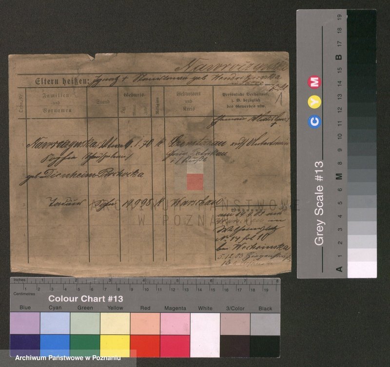 Obraz 1 z jednostki "Nawroczyński - Nejman"