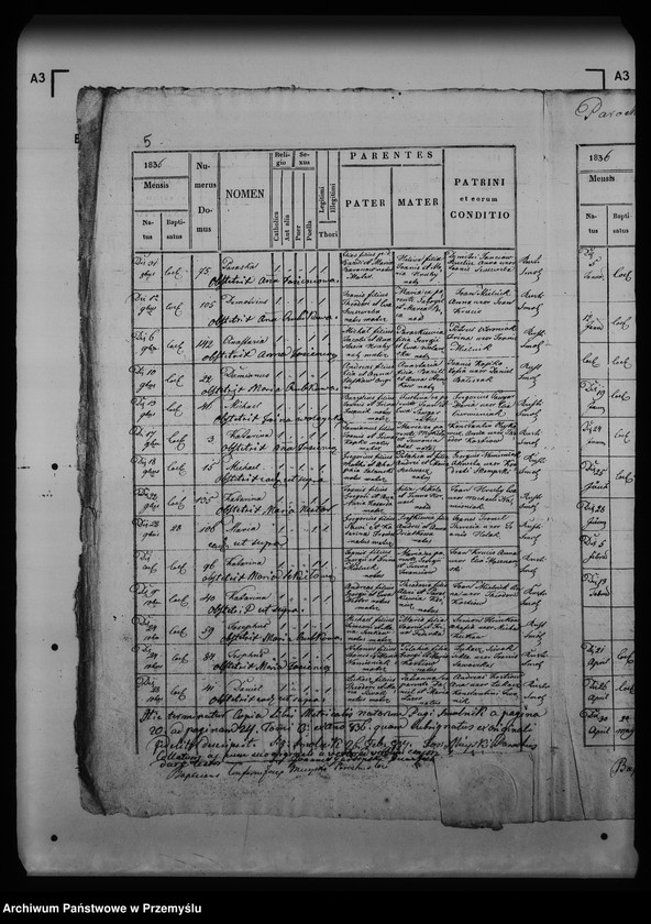 image.from.unit.number "[Kopie ksiąg metrykalnych parafii Smolnik z filią Mików (dekanat Łupków)]"