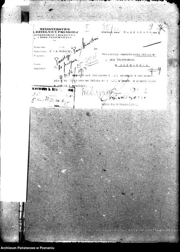 Obraz 13 z jednostki "Weterynaria"