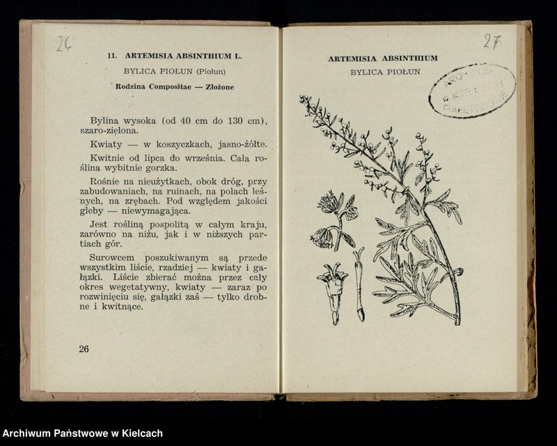 image.from.collection.number "Rośliny lecznicze111"