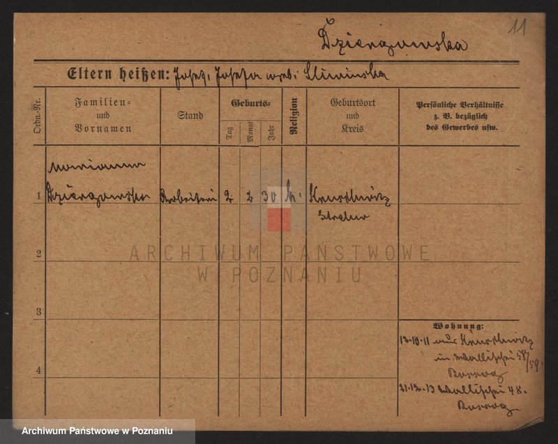 Obraz 13 z jednostki "Dzierbicka - Dzikiewicz"