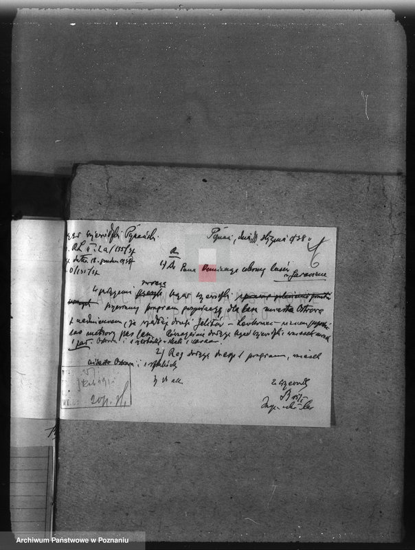 image.from.unit.number "Nadzór nad gospodarką w lasach miasta Ostrowa"