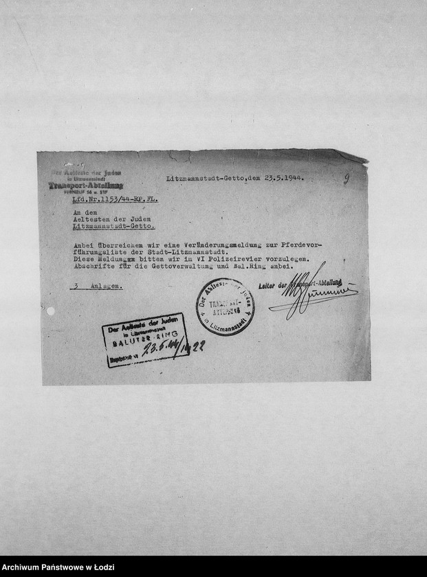 Obraz 12 z jednostki "Veränderungs-Meldungen [Korespondencja PSŻ z GV w sprawie pogłowia końskiego]"