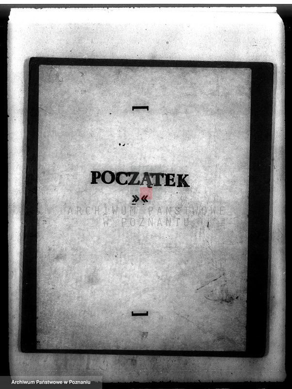 Obraz 3 z jednostki "Las gromady Belęcin-Nowy powiat leszczyński"