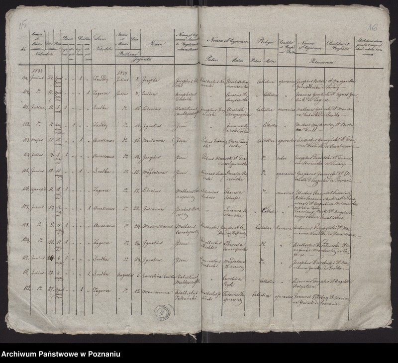 Obraz 10 z jednostki "Spis urodzeń"