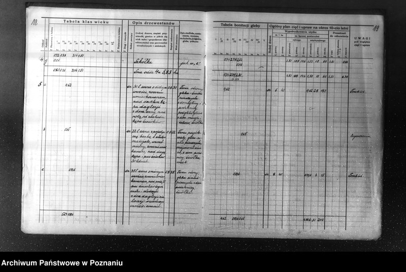 Obraz 14 z jednostki "Plan urządzenia gospodarstwa leśnego dla lasu majętności Kuleczyn w powiat nowotomyski 1933-1943"