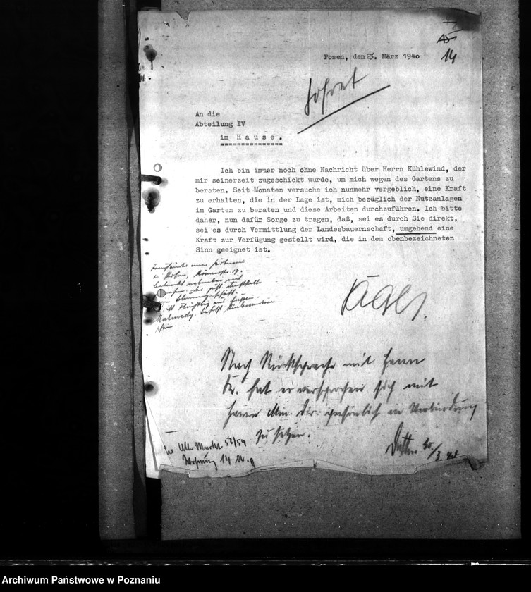 Obraz 19 z jednostki "Prace budowlane w ogrodzie urzędu namiestnika"