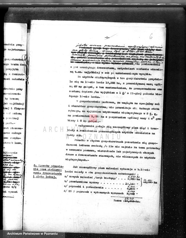 Obraz 10 z jednostki "/Nadzór nad gospodarką leśną gminy miasta Czarnkowa"