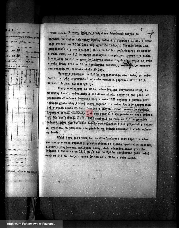 image.from.unit.number "Las Dębowy Folwark powiat wolsztyński"