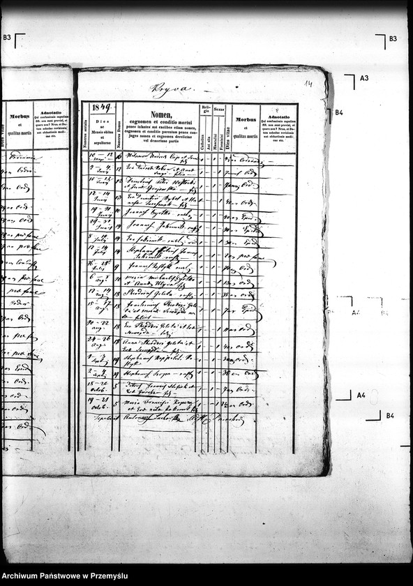 Obraz 18 z jednostki "[Kopie ksiąg metrykalnych parafii Krzywa z filiami Jasionka, Wołowiec (dekanat Gorlice)]"