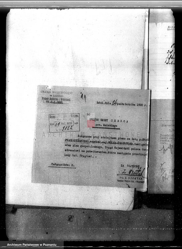 Obraz 15 z jednostki "Sprawa zniesienia nakazu zabraniającego prowadzenia użytkowania lasu w majątku Wólka-Komorowska powiat kolski gmina Izbica"