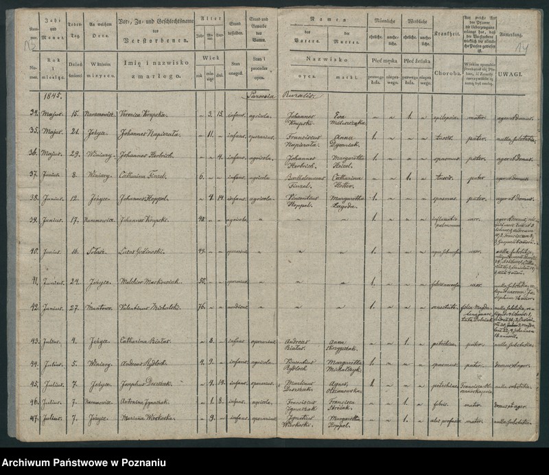 Obraz 9 z jednostki "Księga zgonów"