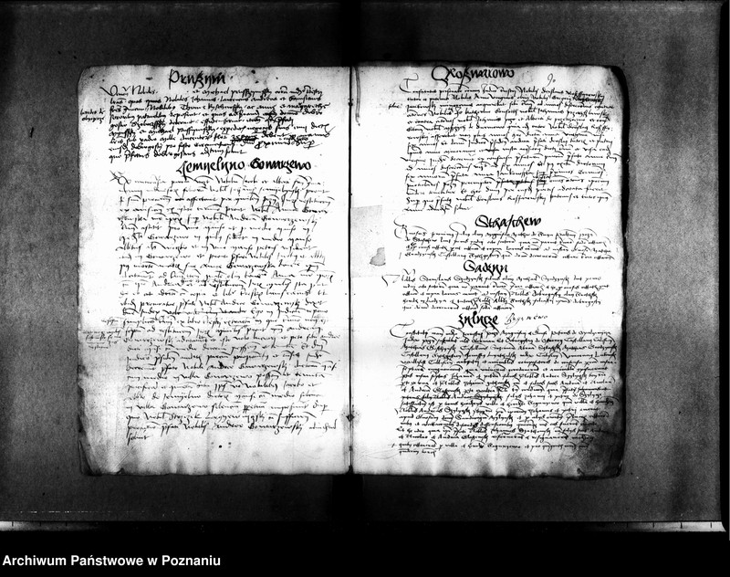 Obraz 13 z jednostki "Resignationes ,inscriptiones, relationes, decreta [protocollon]"