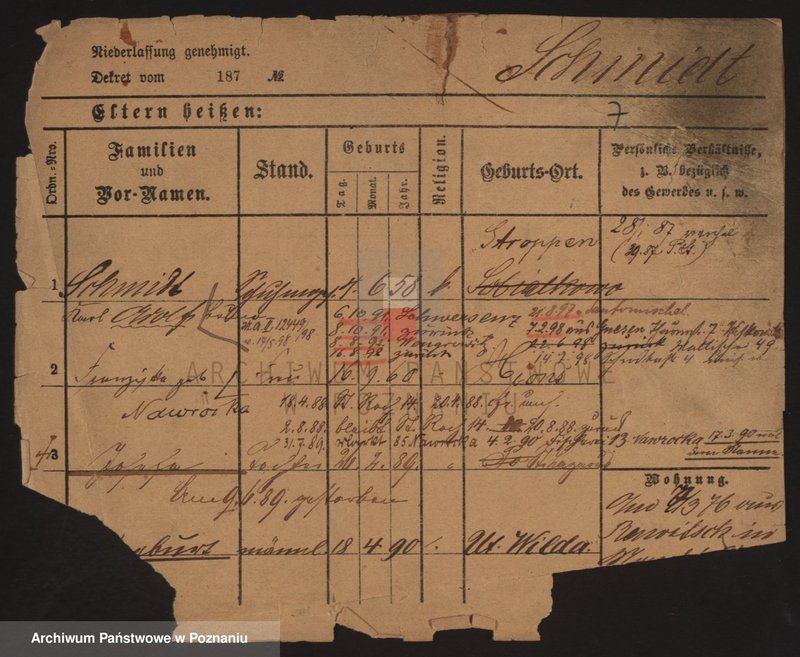 Obraz 17 z jednostki "Szmidt (żonaci)"