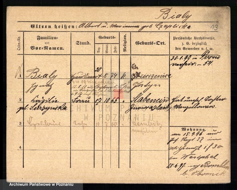 Obraz 17 z jednostki "Biały - Biedowicz"