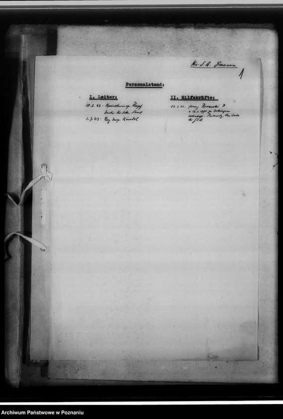 Obraz 5 z jednostki "[Korespondencja w sprawach organizacyjnych, sprawozdanie z działalności] Kreissippenamt Gnesen [Gniezno]"