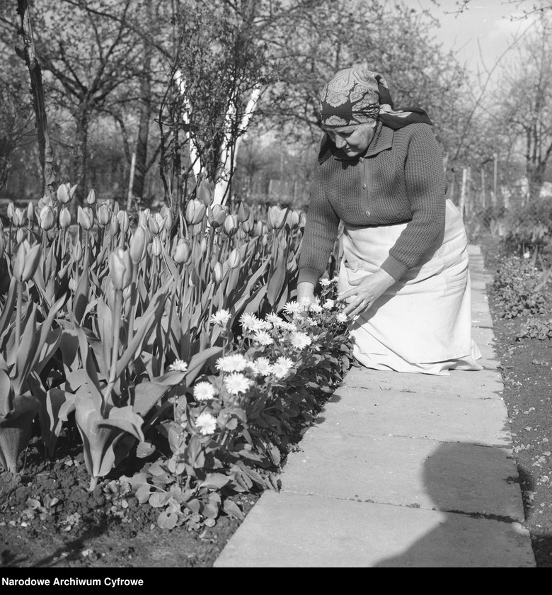 image.from.unit.number "Ogrody działkowe "Odyńca" między ul. Racławicką i ul. Odyńca w Warszawie"