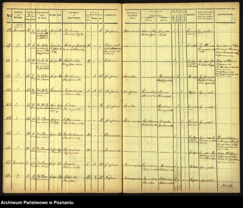Obraz 15 z jednostki "Księga zgonów"