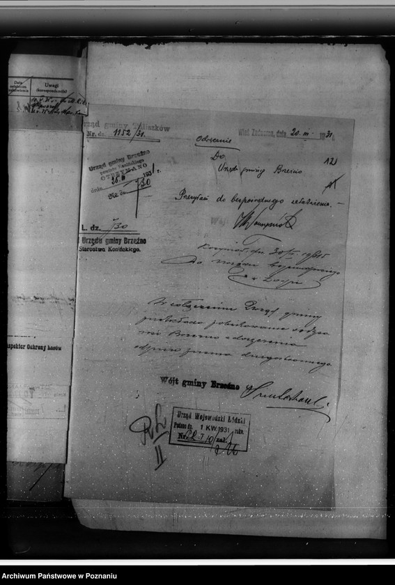 Obraz 16 z jednostki "Lasy majątku Brzeźno powiat koniński"