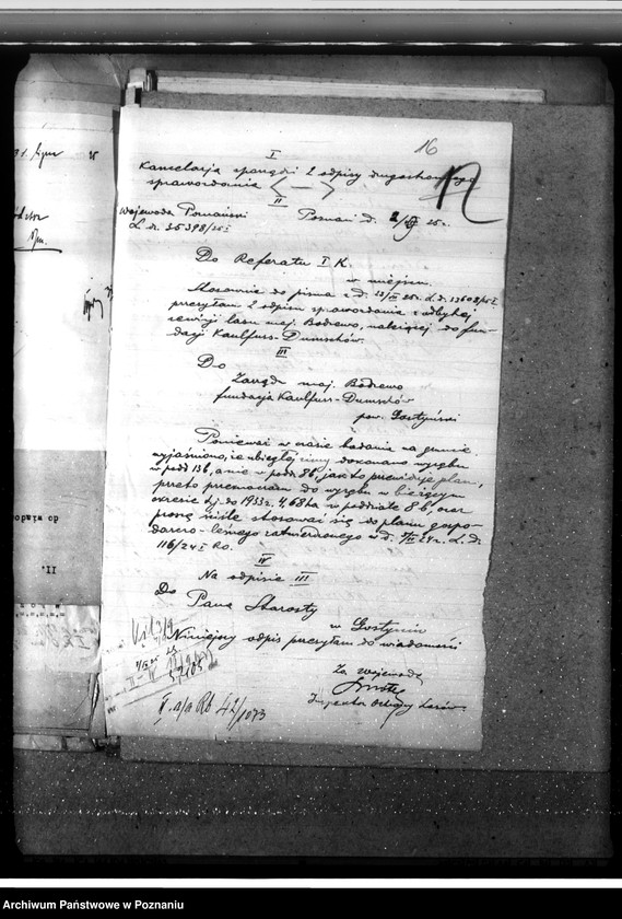 Obraz 20 z jednostki "Las fundacyjny Bodzewo w powiecie gostyńskim"