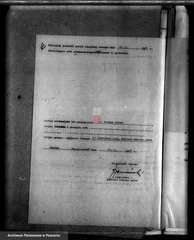 Obraz 10 z jednostki "Lasy majątku Kuźniki powiatu kępińskiego"