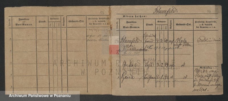 Obraz 15 z jednostki "Blumenau - Boch"