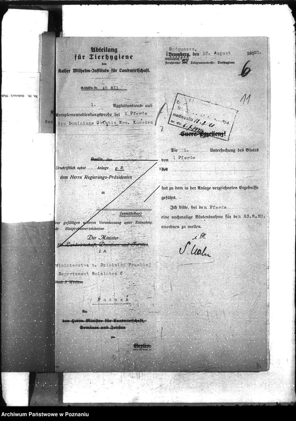 Obraz 15 z jednostki "Nosacizna - Kościan"