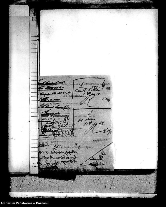 Obraz 14 z jednostki "Działki nr 1 i 2a w Kolnie powiatu międzychodzkiego Wawrzyn Dykczak osada parcelacyjna"