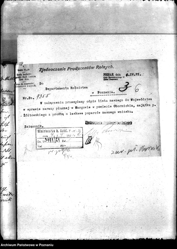 Obraz 10 z jednostki "Zaraza płucna - Oborniki"