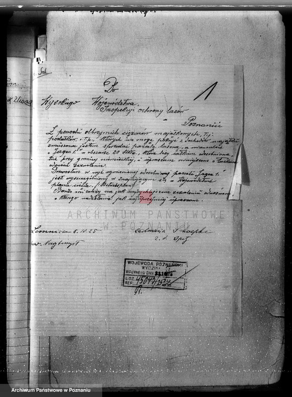 Obraz 5 z jednostki "Majętność Posadowo w powiecie nowotomyskim"