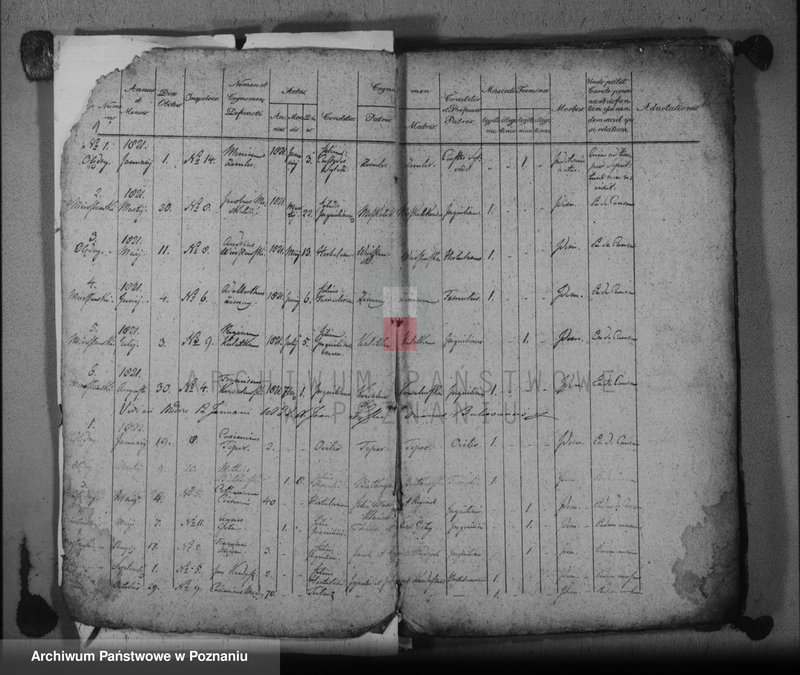 image.from.unit.number "Duplikat urodzonych, zaślubionych, zmarłych"