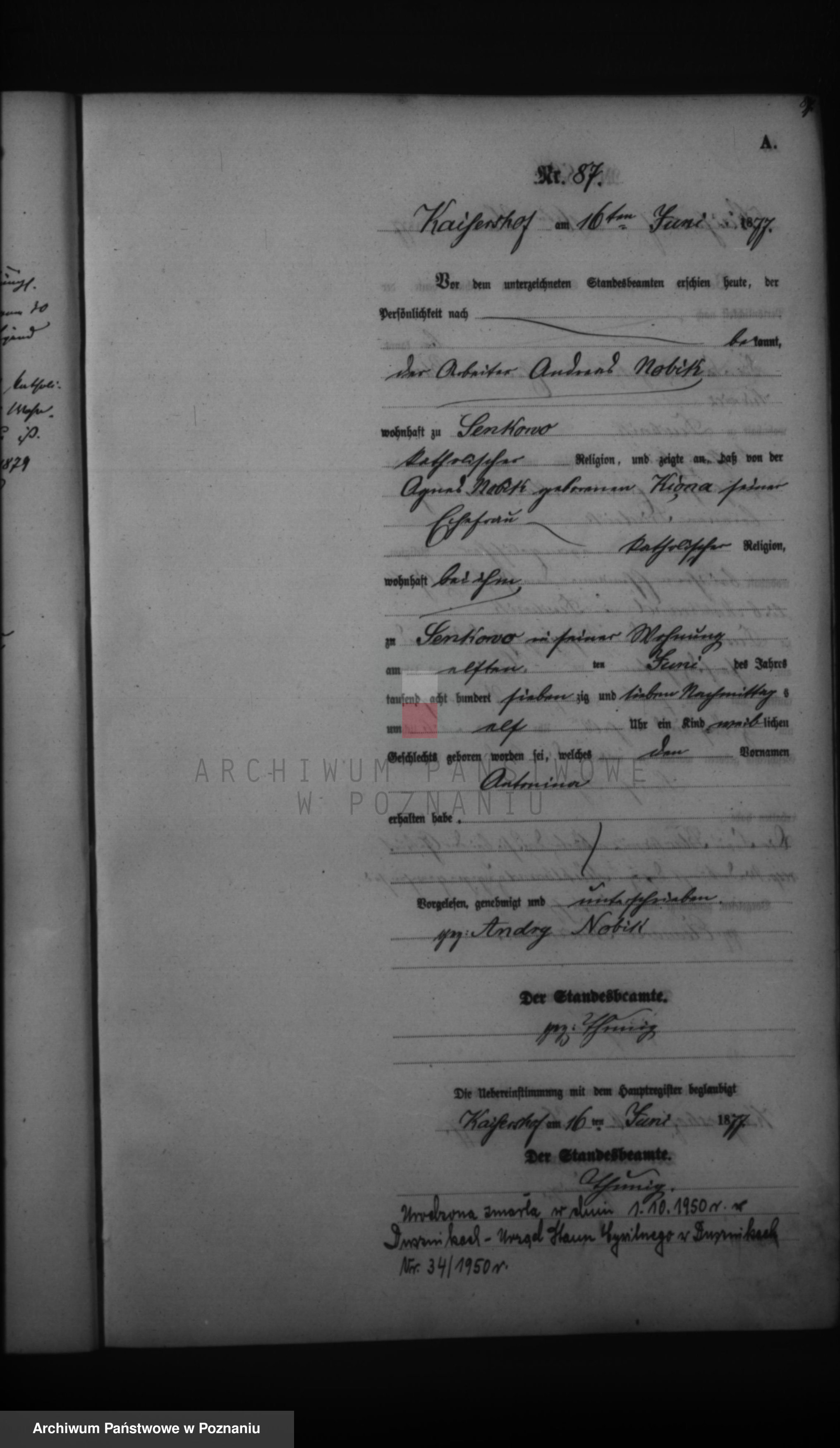 Skan z jednostki: Księga urodzeń