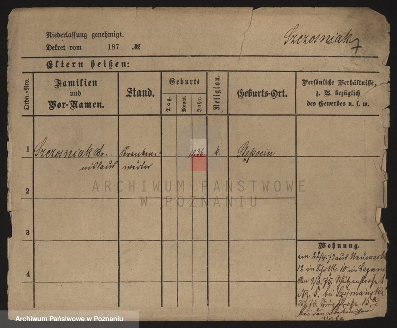 Obraz 17 z jednostki "Szczodrzyński - Szefer (żony i wdowy)"