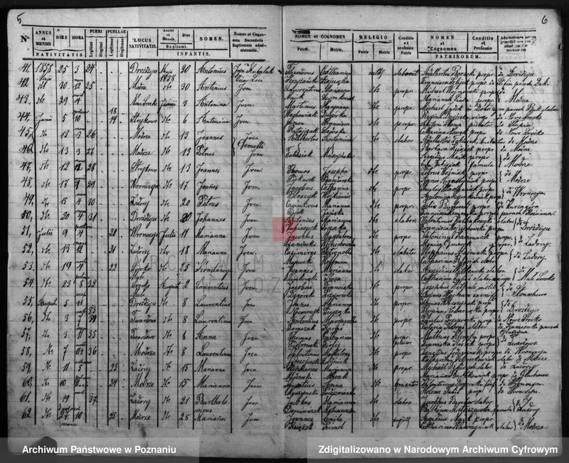 Obraz 6 z jednostki "Duplicatus baptisatorum, copulatorum, mortuorum"