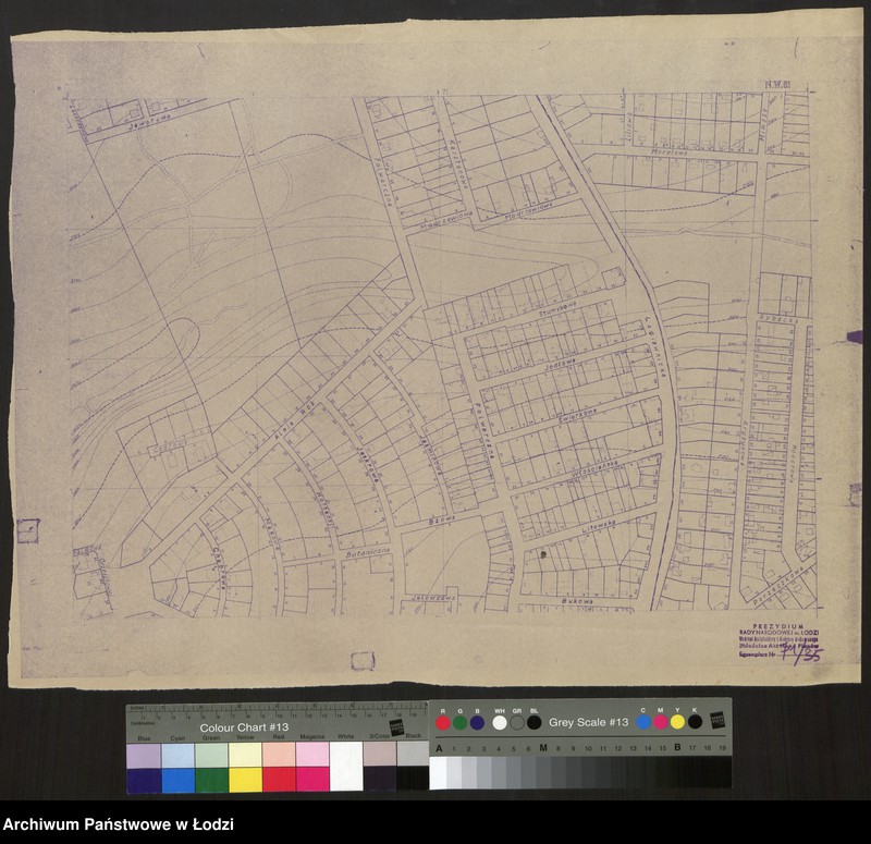 Obraz 1 z jednostki "Plan m. Łodzi 1:2000. Sekcja NW61"