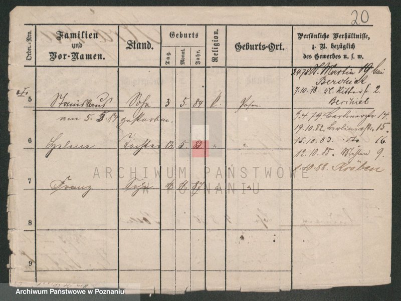 Obraz 20 z jednostki "Krajger - Krajkowski"