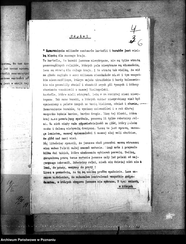 Obraz 10 z jednostki "Kartofle"