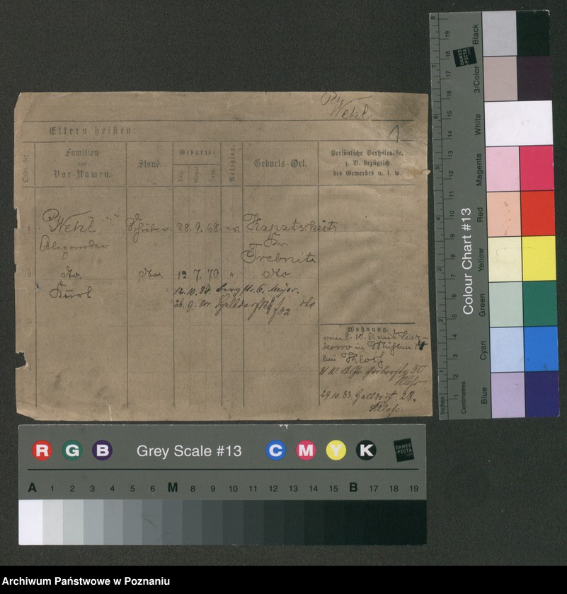 Obraz 6 z jednostki "Wel - Wencek"